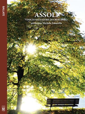 cover image of Assoli